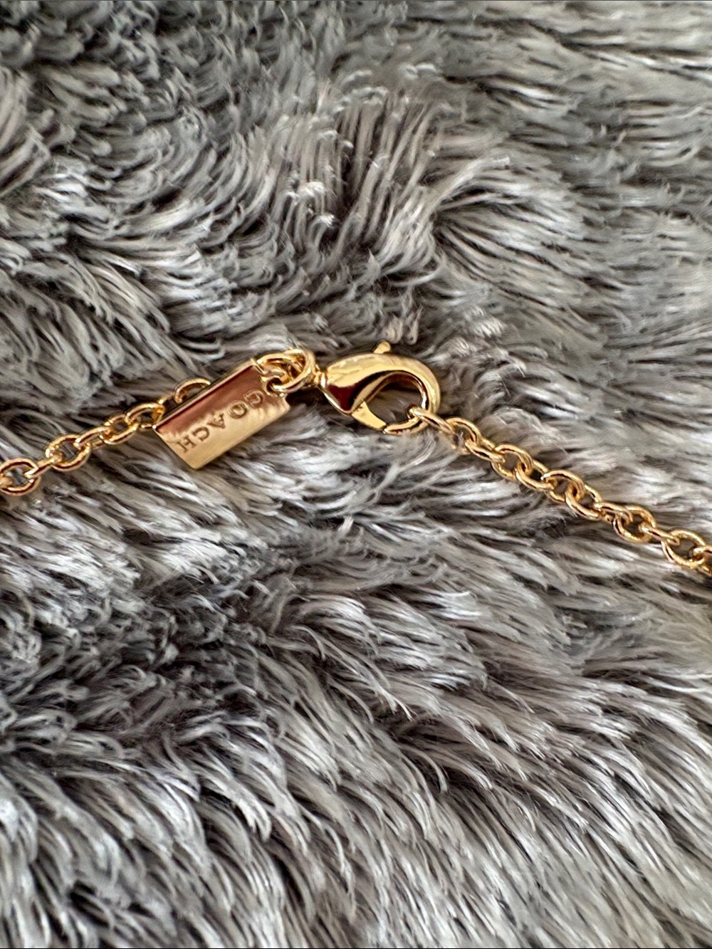 Coach Necklace - Picture 9 of 10